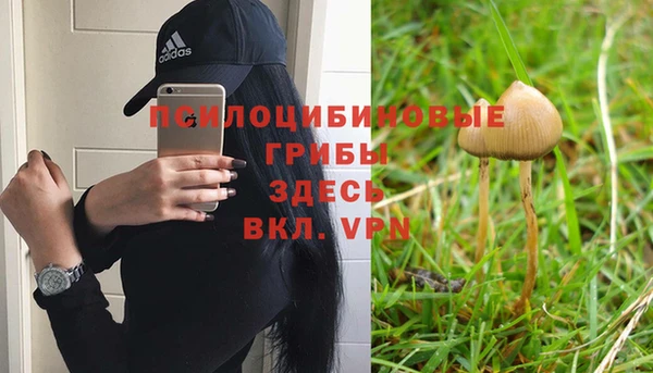 кристаллы Алексин