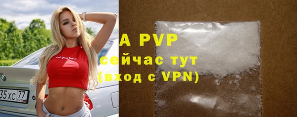 дурь Няндома